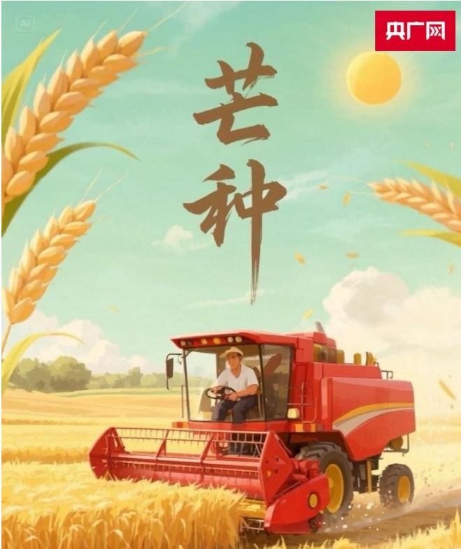 AI看二十四節(jié)氣 | 芒種至 南種北收各不同