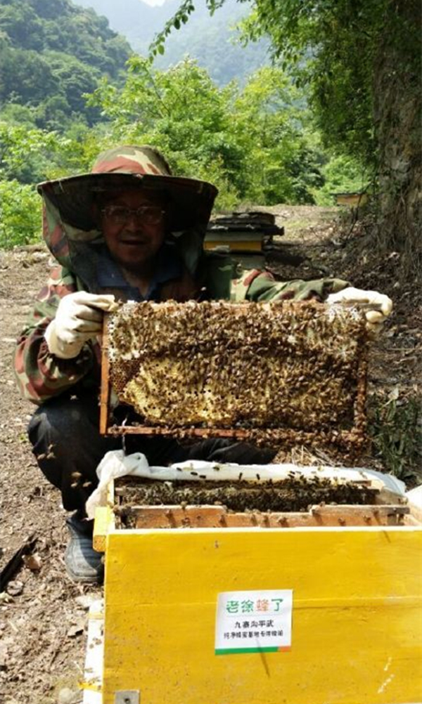 九寨溝蜂蜜嚴重滯銷 期盼社會各方伸援手