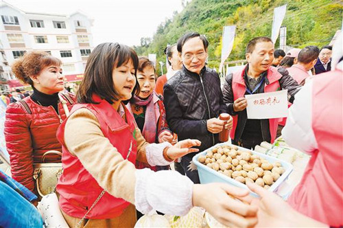 【領(lǐng)航新征程】農(nóng)民帶著“掃一掃”來賣山貨