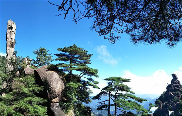 重磅！三清山兩大世界之最獲世界權(quán)威認(rèn)證！