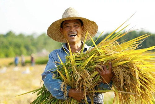 學(xué)什么專業(yè)有“錢景”？?jī)蓵?huì)都說清楚了