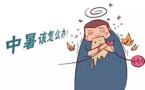 為何將中暑分為陽暑和陰暑？