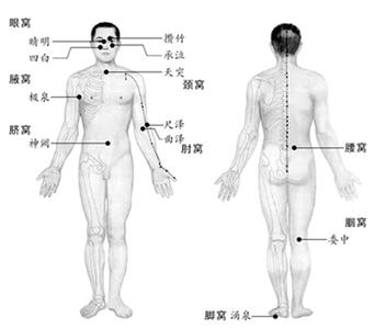 人有八個“養(yǎng)生窩”
