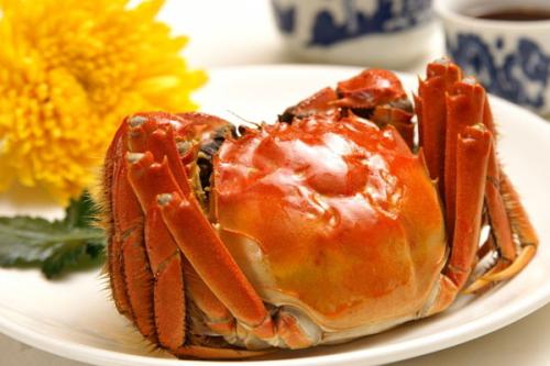 防偽鎖扣為何難防冒牌大閘蟹
