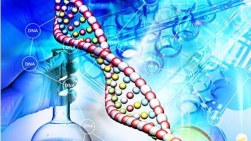 加拿大發(fā)現(xiàn)新的生物標志物有助于更有效治療癌癥