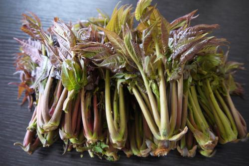 吃了香椿會致癌？建議每餐食用30至50克