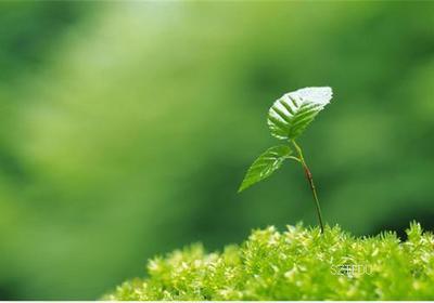 生命密碼，想懂你多一點(diǎn)