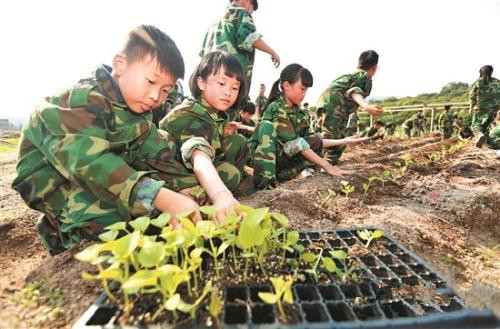 讓更多學生體悟勞動樂趣