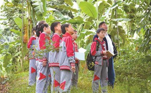 新時(shí)代勞動(dòng)教育如何落地生根